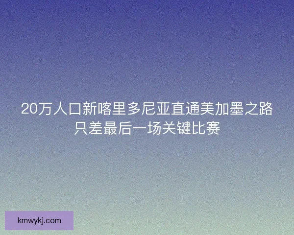 20万人口新喀里多尼亚直通美加墨之路只差最后一场关键比赛